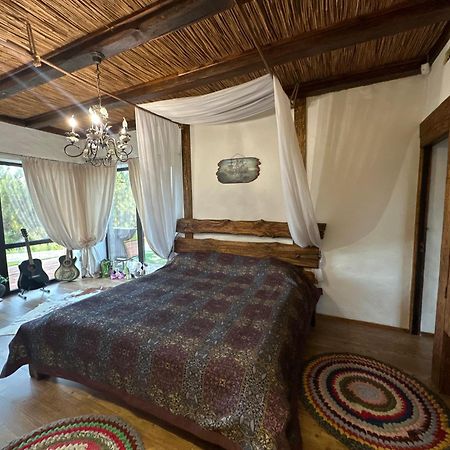 Chervona Kalyna Cottage オデッサ エクステリア 写真